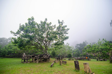 Village in the mist in the winter.