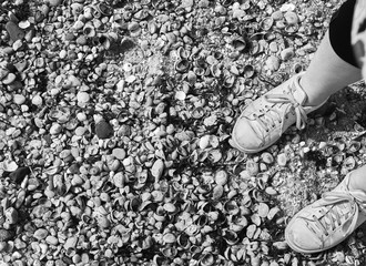 Shoes, Rocky Beach