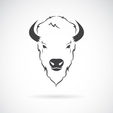 Vector of a buffalo head design on white background. Wild Animals.