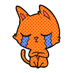 crying cartoon cat sitting