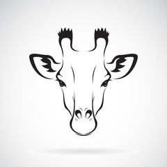 Obraz premium Wektor konstrukcji głowy żyrafa na białym tle. Dzikie zwierzęta. Ilustracji wektorowych.