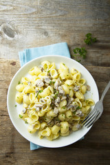 Homemade pasta with cream sauce and mushrooms