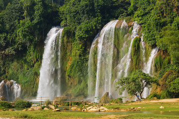 Landscape Waterfall