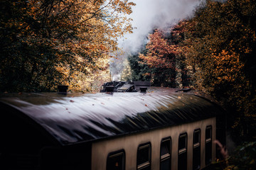 Historische Dampflok mit Wagons fährt durch den Wald Richtung Brocken