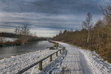 Naklejka premium winter