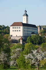 Fototapeta na wymiar Schloss Horneck in Gundelsheim