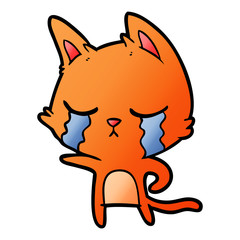 crying cartoon cat pointing
