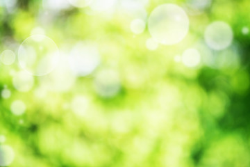 Abstract green bright bokeh background