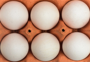 White chicken eggs in a cardboard container for storage and transportation