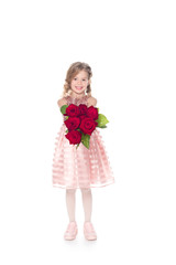 adorable child in dress holding bouquet of red roses, isolated on white