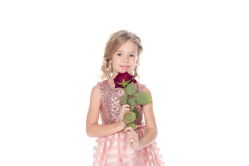 beautiful little child in pink dress holding red rose flower and looking at camera isolated on white