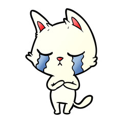crying cartoon cat