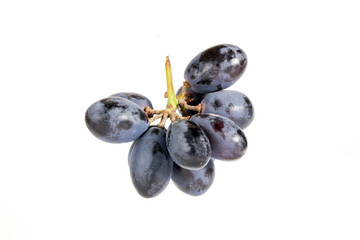 Black  Grape Bunch