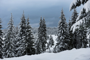 Frosty day, calm wintry scene