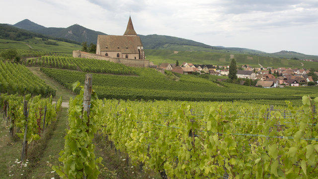 Hunawihr,alsazia,francia,europa