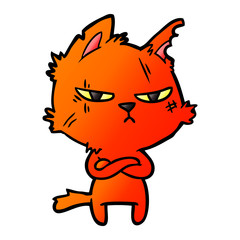 tough cartoon cat folding arms