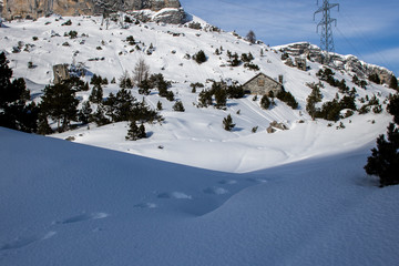 Bild einer Schneeschuhwanderung im Wallis