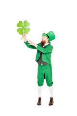 leprechaun in green suit and hat holding clover, isolated on white