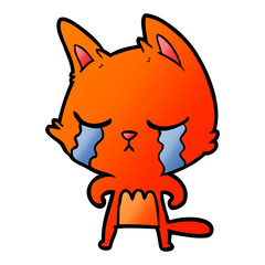 crying cartoon cat