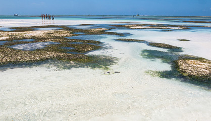 White Sand beach in Diani, Kenya