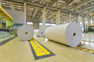 Papierrollen in einer Papierfabrik - Verarbeitung von Altpapier // Paper rolls in a paper mill - processing of waste paper - obrazy, fototapety, plakaty