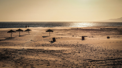 Fototapeta na wymiar sandy lonely beach with umbrellas