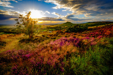 Sunset at Roseberry Topping, North Yorkshire