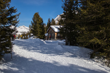 Bild einer Schneeschuhwanderung