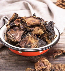 dry forest edible mushrooms