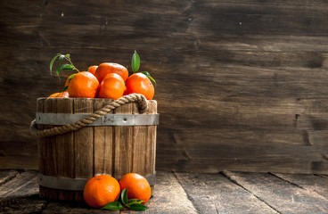 Fototapeta na wymiar Ripe mandarins in a wooden bucket.