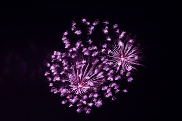 Beautiful colorful New years firework over the sea