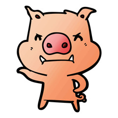 angry cartoon pig