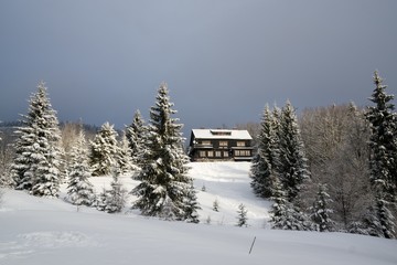 Hut hidden in the woods in snow during winter. Slovakia