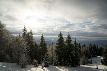 Fototapeta na wymiar Nature under the snow during winter. Slovakia