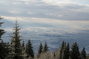 Nature under the snow during winter. Slovakia