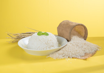 Cooked rice on plate with paddy, rice plant , thai jasmine rice