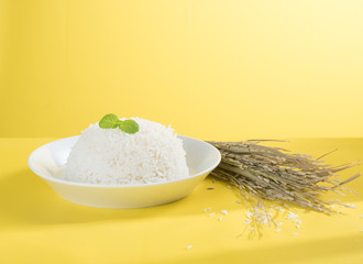Cooked rice on plate with paddy, rice plant , thai jasmine rice