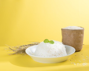 Cooked rice on plate with paddy, rice plant , thai jasmine rice