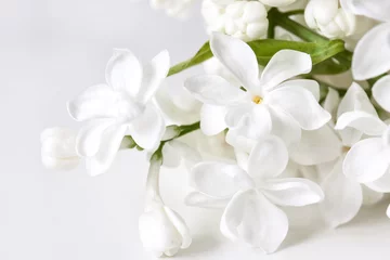 Foto auf Leinwand White lilac flowers blossom, floral wallpaper © Sun-flower