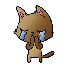 crying cartoon cat