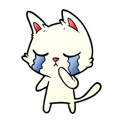 crying cartoon cat