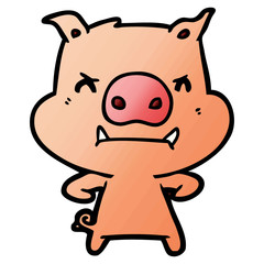angry cartoon pig