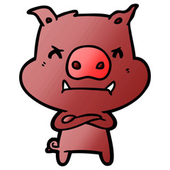 angry cartoon pig
