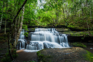 Waterfall in the tropical rainforest landscape