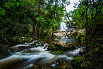 Waterfall with green moss in the tropical rainforest landscape
