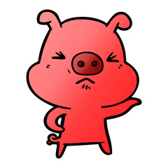 cartoon angry pig