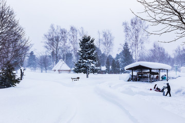Snowing at a public park in Hokkaido, Japan