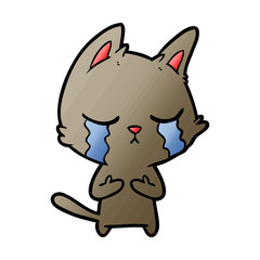 crying cartoon cat