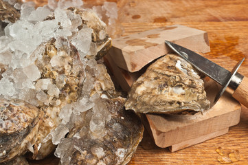 freshly picked oyster in a wood oyster grip and pruning open with an oyster knife  with chipped ice on a bamboo cutting board