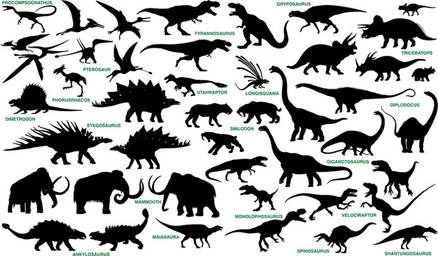 prehistoric animals vector silhouettes collection
